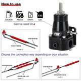 Fuel Pressure Regulator with Gauge AN6