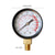 1/8 NPT Analog Pressure Gauge, 0-200 PSI/14 Bar