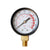 1/8 NPT Analog Pressure Gauge, 0-200 PSI/14 Bar