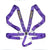 5-Point Safety Race Harness Camlock E-Marked