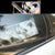 Anime Car Sticker