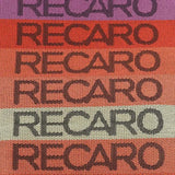 Graduation Rainbow Recaro Fabric