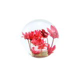 Suichuuka Flower Gear Shift Knobs