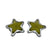 Clear LED Star Shape Side Marker Indicators pair