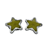 Clear LED Star Shape Side Marker Indicators pair