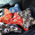 JDM Car Pillow Neck Rest Sakura Koi